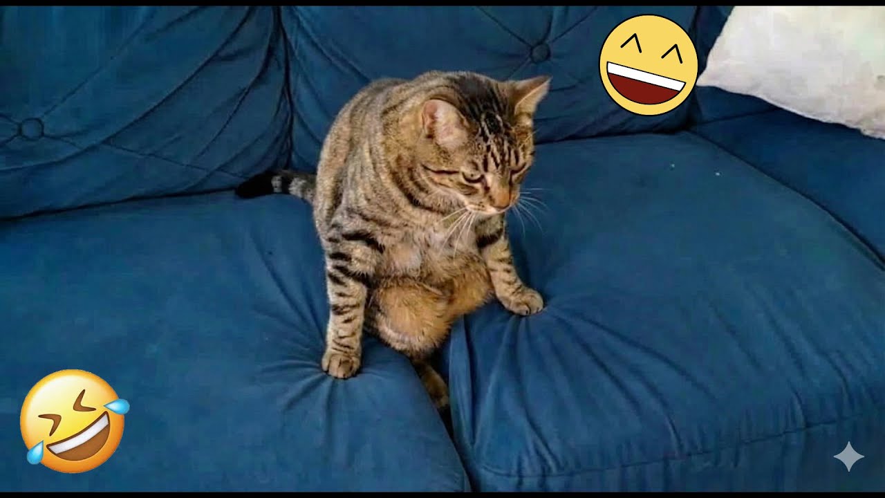 You Laugh You Lose 😄 Funniest Cats and Dogs 2026 🐱💚 Part 20