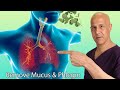 1 Herb CLEARS UP Mucus &amp; Phlegm in Sinus, Chest, and Lungs | Dr. Mandell