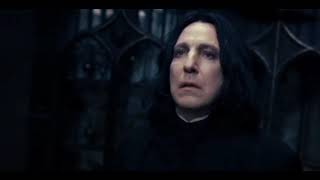 Snape and Lily | What About Us?