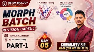 CSIR NET June 2026 | Day 5 (Part 1): Protein Folding & CD Spectroscopy Traps 🧮 Morph Batch