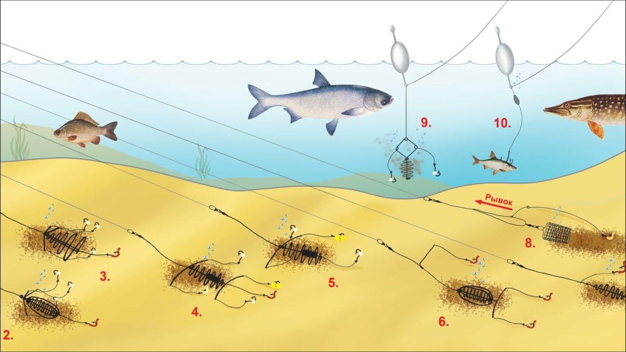 Снасть на белую рыбу