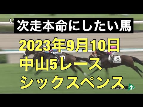 【競馬予想／次走狙いたい馬】2023年9月10日中山5R1着シックスペンス「後半4F12.4-12.2-11.9-10.7と尻上がりに速くなる中で勝ち切る内容に注目」#競馬 #競馬予想 #次走の本命馬