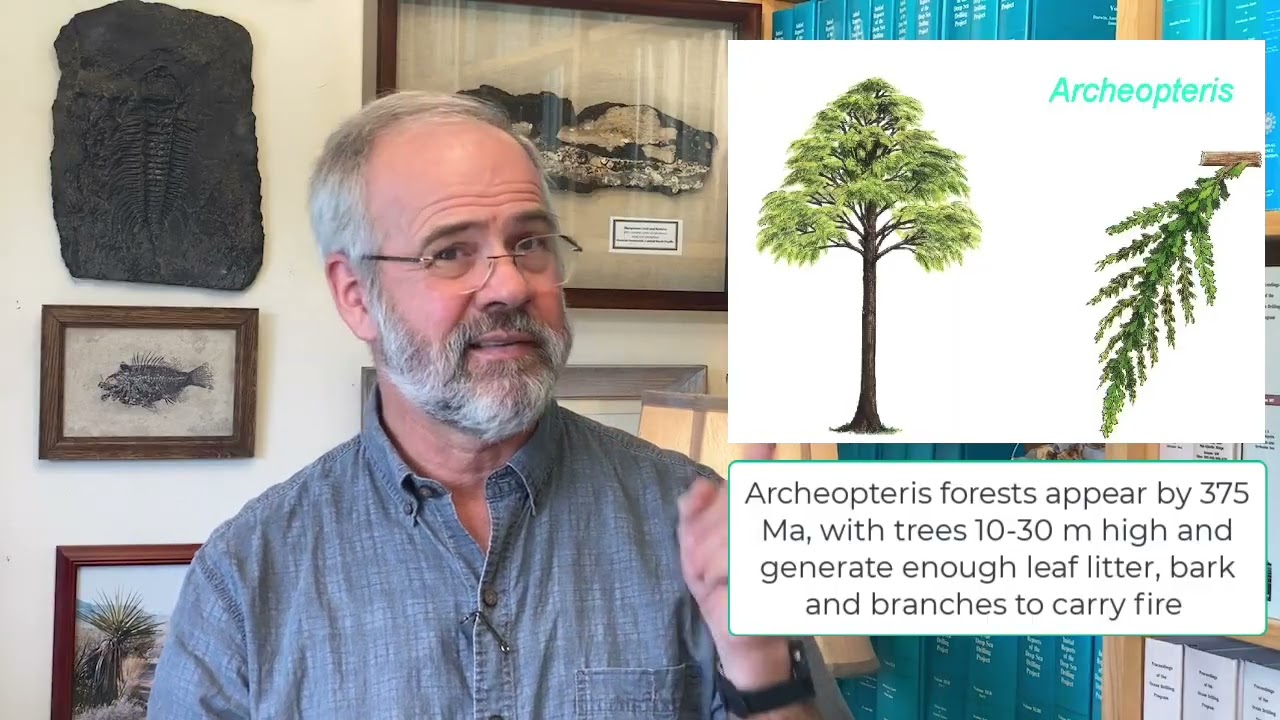 V33 Land Plant Origins