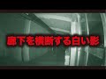 【心霊ライブカメラ】廊下を横断する白い影…