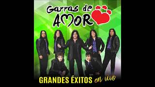 Video thumbnail of "Bailalo  -  GARRAS DE AMOR"