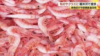 静岡産の新鮮な「サクラエビ」を軽井沢で提供　中部横断道の延伸による“時短効果”生かす