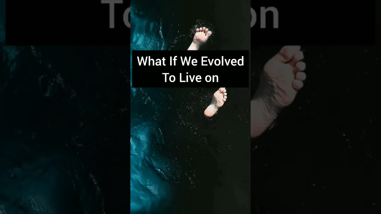 How Humans Could Have Evolved Differently  