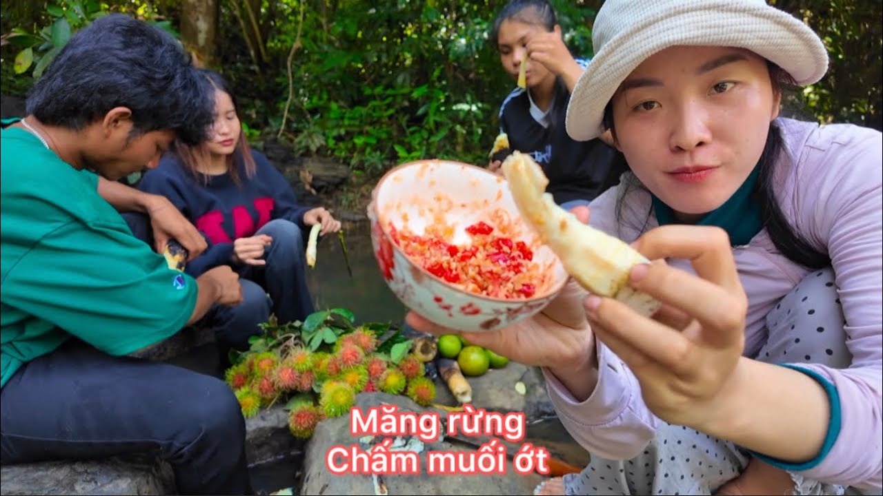Hôm Nay Chị Em Mai Vào Rừng Tìm Măng Rừng Chấm Nướng / Thành Viên Mới