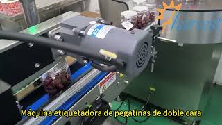 Automatic Two Sided Pressure Sensitive Labeler Applying Front & Back Labels