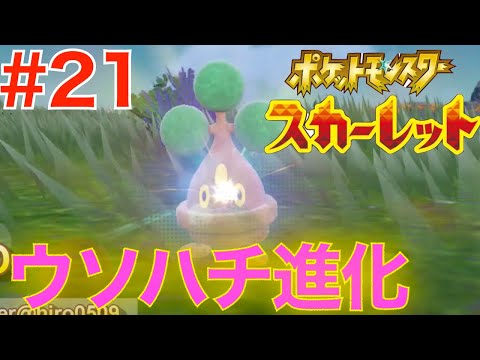 ポケモン　ウソハチ ウソハチ｜ポケモン図鑑SV｜ポケモン徹底攻略