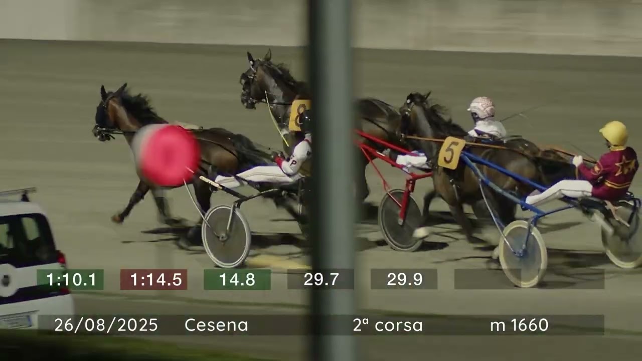 2025 08 26 | Corsa 2 | Metri 1660 | Premio Rotary Club Cervia Cesenatico - Tga 2025
