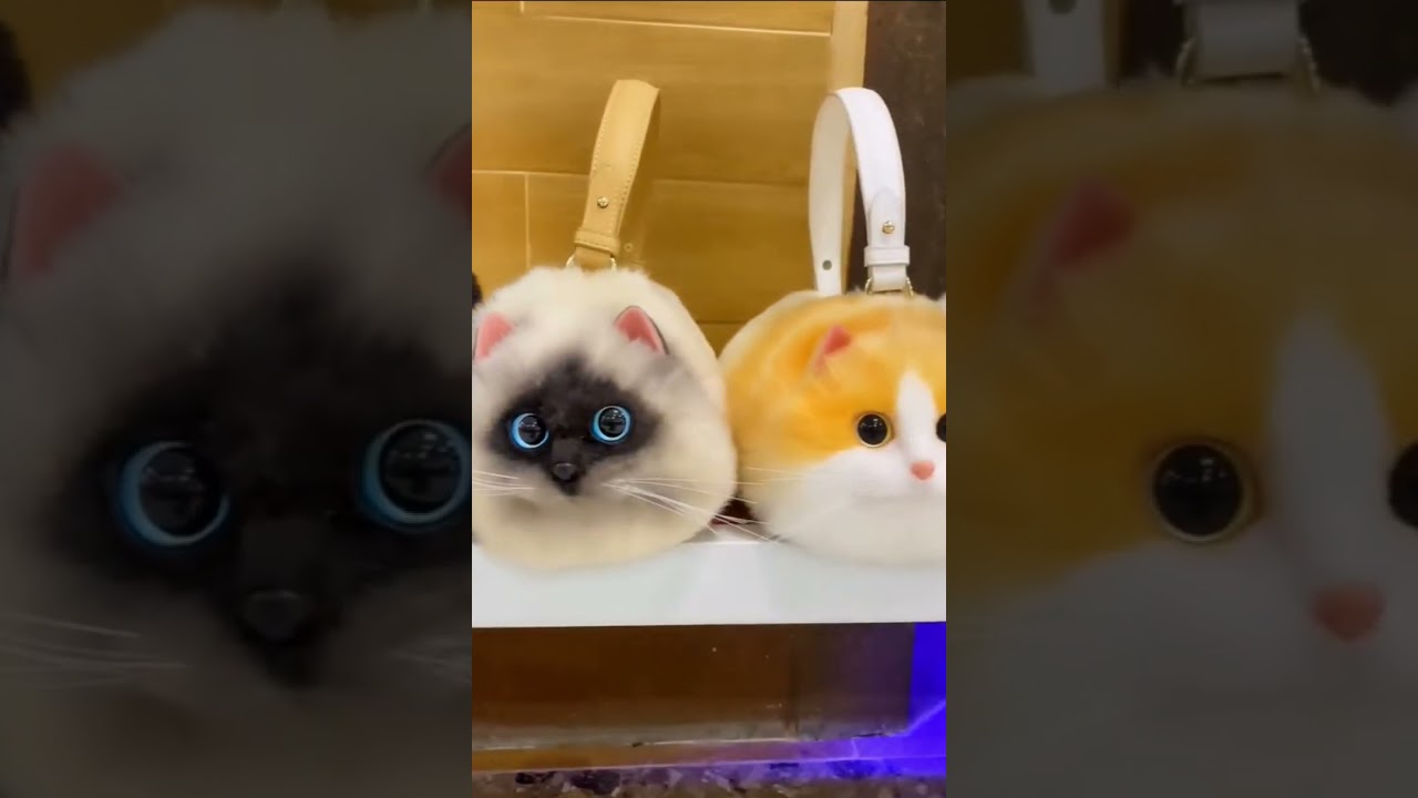 Such a cute kitten bag, which girl would refuse, hit my girl's heart directly