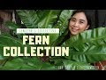 Jewelyns collective fern collection  june 2019  ilovejewelyn