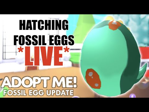 What People Trade For A Jungle Egg In Adopt Me Roblox Adoptme Youtube - bhop roblox wholefedorg