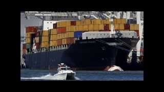 Thank You Ocean: Reducing Threat of Ship Strikes to Whales