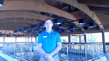 Bryan Danson Aquarist CCSS.MATH.CONTENT.HSA.CED.A.1 Creating and Solving Equations Final