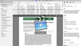 Mac version Papers 3 slow reaction on authors window