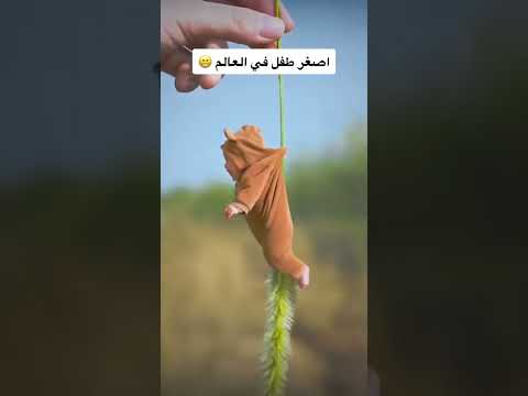 اصغر طفل بالعالم