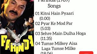 Parinda (1989) All Songs Jukebox| Jackie Shroff| Anil Kapoor| Nana Patekar| Madhuri Dixit| Anupam