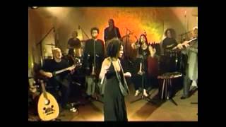 NEW: Ayal Ayal seraw bal - Gonder (the Israeli version)