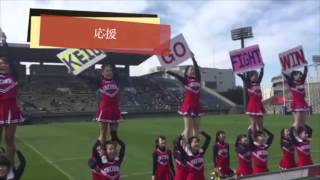 2016慶應チアリーダーズUNICORNS 新歓ムービー