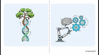Nature-Inspired Technology (Biomimicry), Algorithms in nature, Problem solving using nature