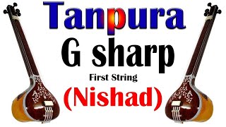 Tanpura Sound Original | G Sharp Scale (Nishad) G# | Daily Meditation & Riyaz | Indian Music ART