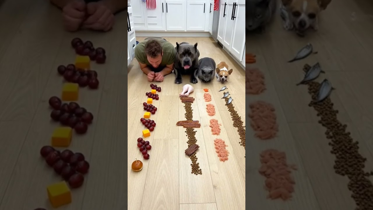 I trained for this, he trained for cheating 😭😂 