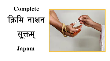 HINDI - Krimi Nashana Mantra Japa | To Destroy Viruses and Germs | Atharva Veda | Sri K Suresh