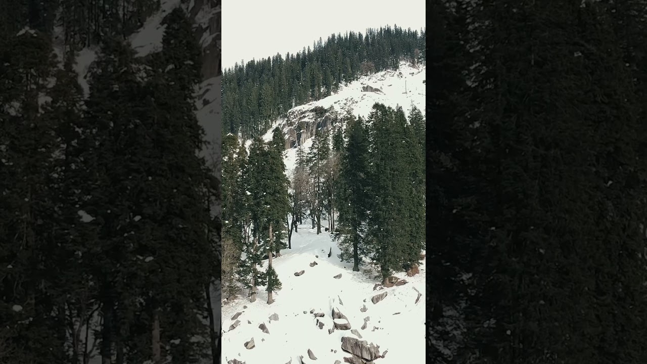 Wake Up To Reality #djimini #shots #snowfall