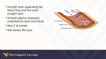 WVU MAE 636. Fundamentals of Turbulent Flow. Ghadi Sadek