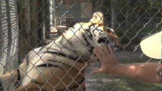 McCarthy's Wildlife Sanctuary Documentary