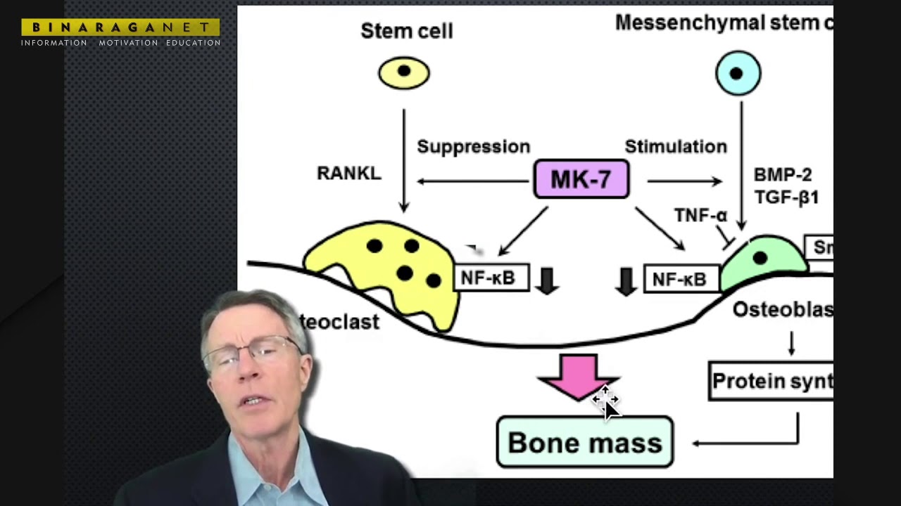 Vitamin K2, Osteocalcin dan Diabetes YouTube