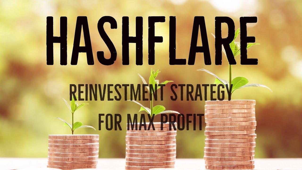 Hashflare - My Reinvestment Strategy