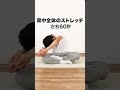 基本の背中のストレッチ｜毎日の習慣におすすめ【13分間】 ショート