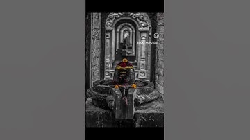 #shiv #shivparvati #mahakal  #devokedevmahadev #somnath #nageswar #reels #status #shorts #viral