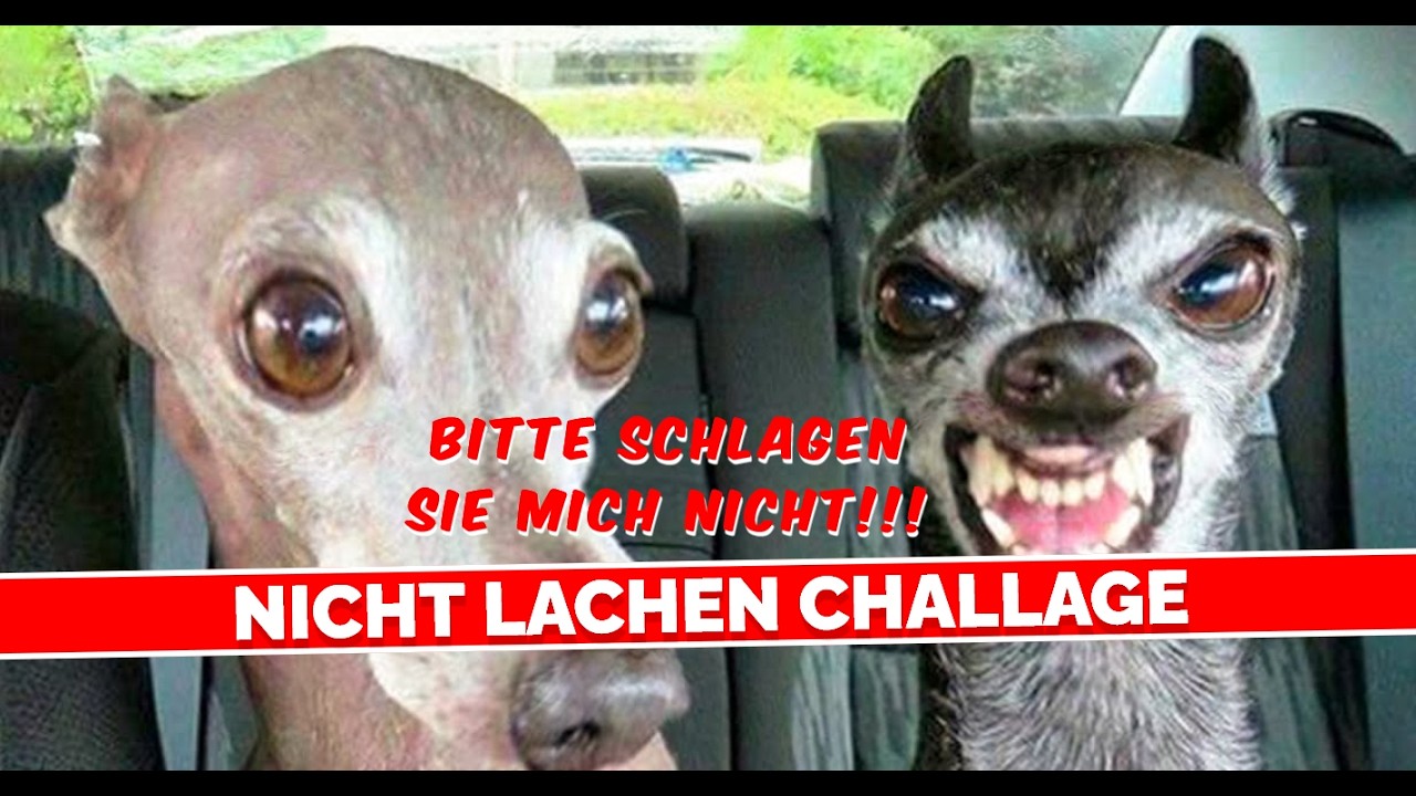 Versuche Nicht Zu Lachen Unmöglich VERSUCHE NICHT ZU LACHEN (111% Unmöglich)🤣🤣🤣 - YouTube