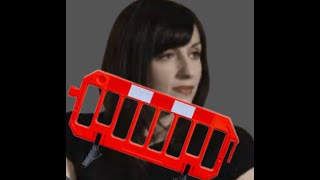 Bridget BUILDS Barriers