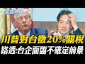 對台20%關稅