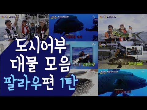 [도시어부 몰아보기 | <strong>팔라우</strong> 특집 1탄] 나타나라 그루프!! 15KG 그루프 대전