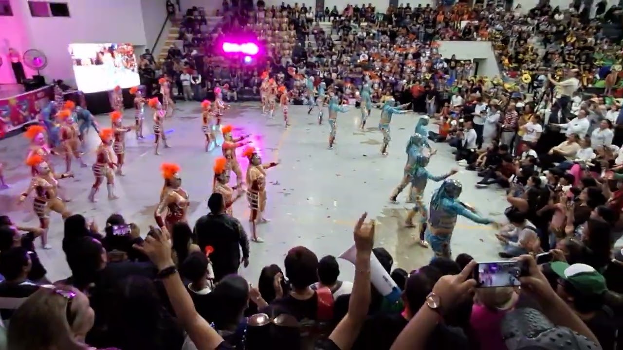 Tampico  hermoso  reyes del ring  primer lugar carnaval 2026 