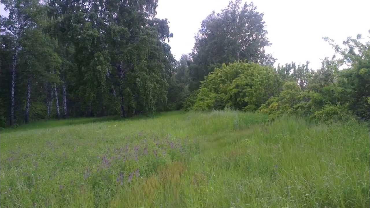 Хутор в лесу. Хутор в эстонии. Усадьба лесной хуторок калининградская область. Хутор в лесу видео. Домик в лесу хутор.