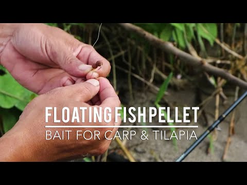 fishing-carp-and-tilapia-lake-toba
