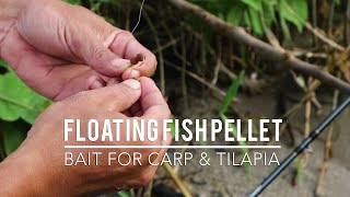 Fishing Carp and Tilapia Lake Toba