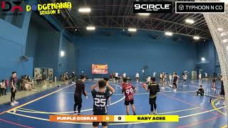 Dodgemania Season 2 Male Top 16 | Purple Cobras VS Baby Aces | Who Will Dominate the Match