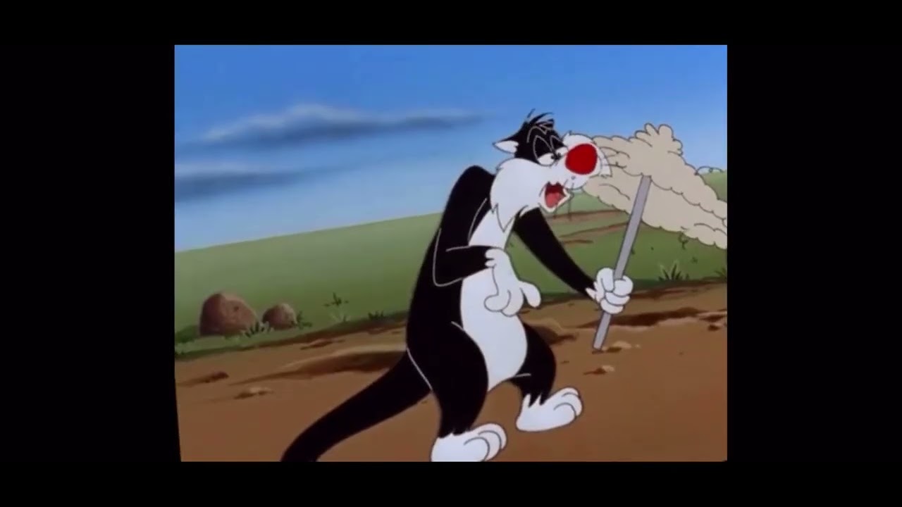 Sylvester’s Hayfever Sneezes