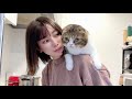 ママのことが大好きすぎてついつい背中にくっついてしまう猫!