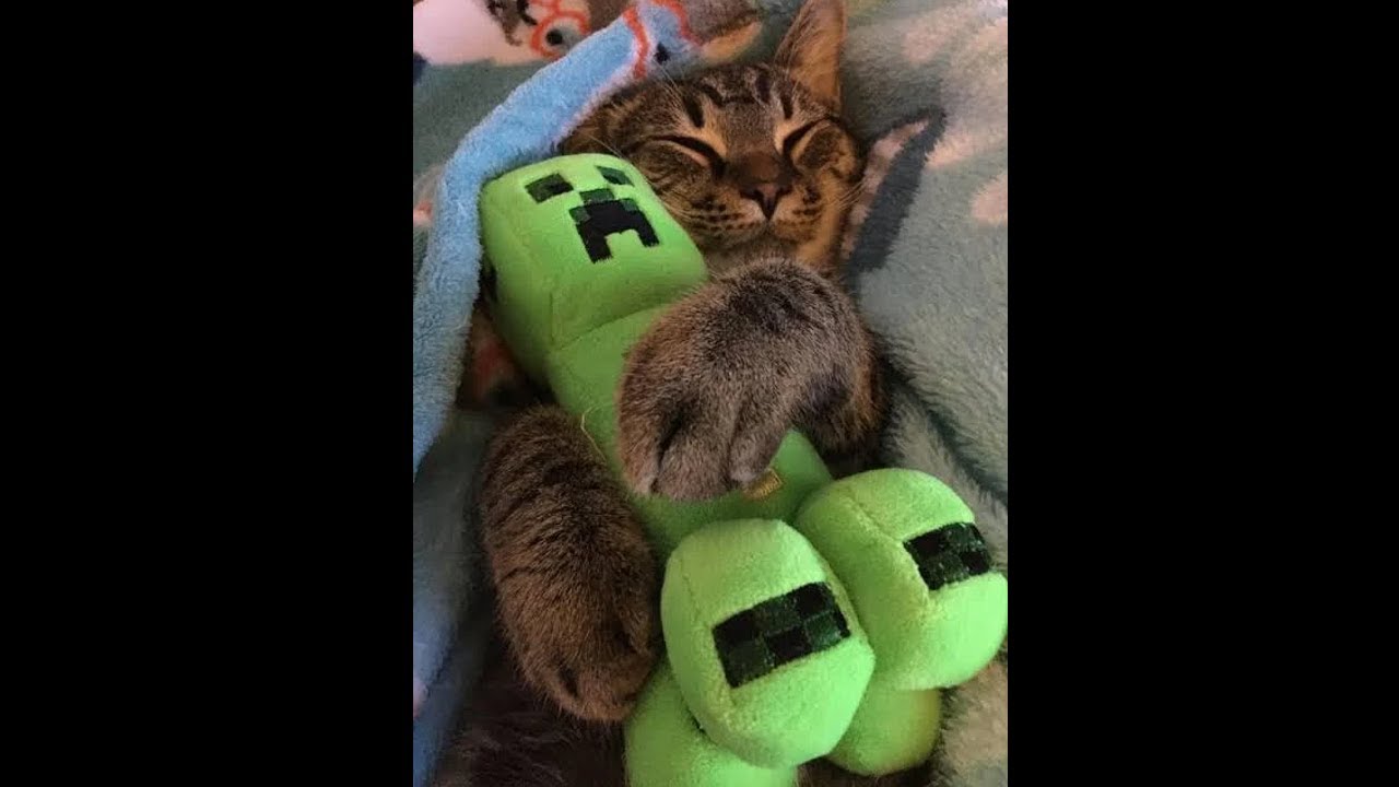 Working on a memorial Minecraft world for my Dead Dad