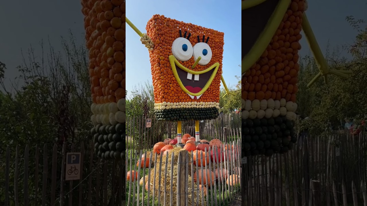 Pumpkin Paradise at Bauer Lipp – Fall Fun & Halloween Vibes