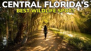This Central Florida Park Is a Wildlife Paradise!